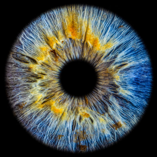 lightART IRIS personalized