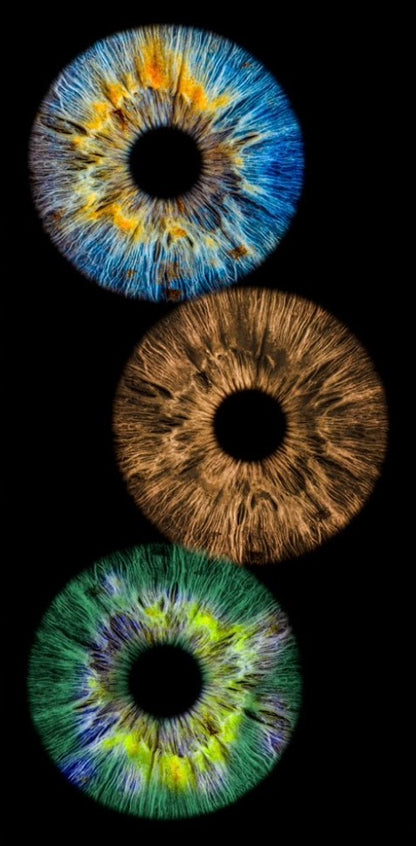lightART IRIS spersonalizowany