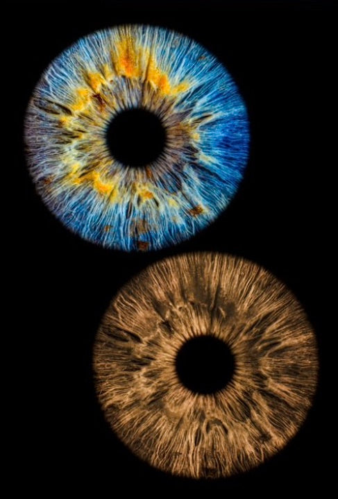 lightART IRIS spersonalizowany